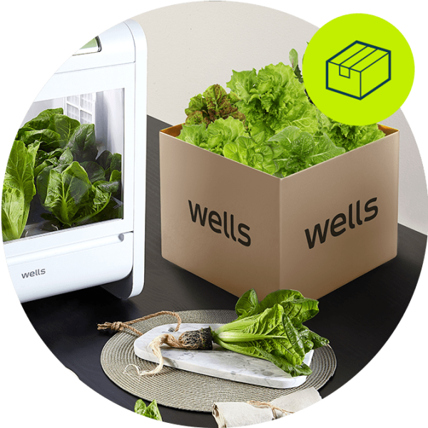 웰스팜 와이드 3년 (기능성채소)