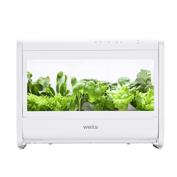 웰스팜 와이드 3년 (기능성채소)