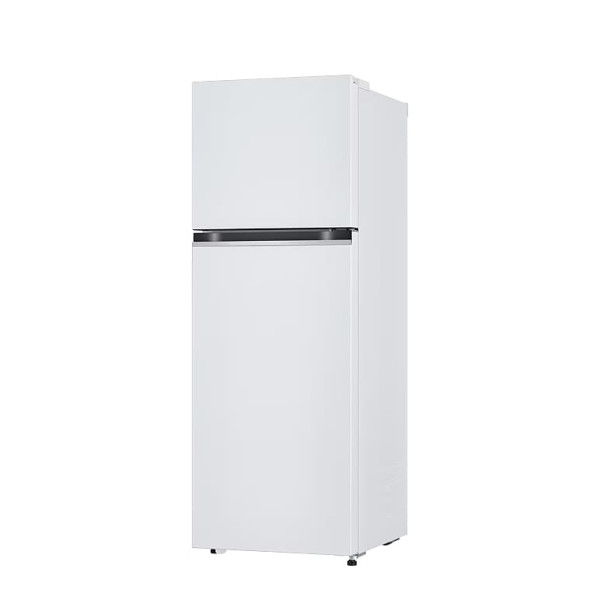 LG 일반 냉장고(화이트) 241L / 2등급