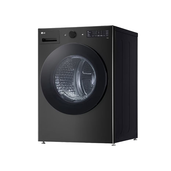 LG전자 트롬 19kg 건조기 (블랙)